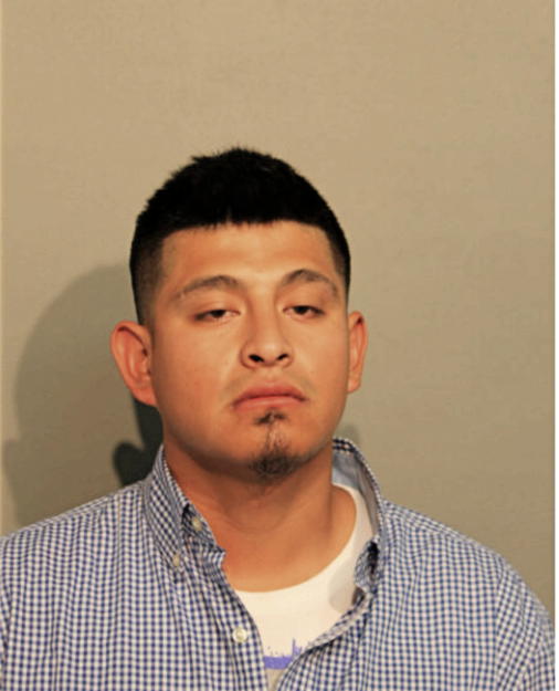 JUAN ELIAS, Cook County, Illinois