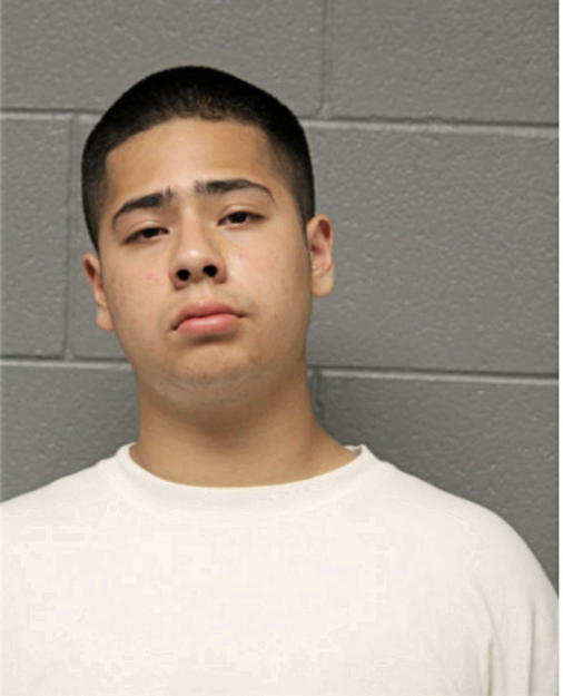 ALFREDO FLORES, Cook County, Illinois