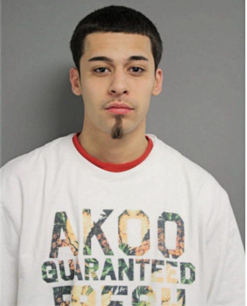 ANTHONY GARCIA, Cook County, Illinois