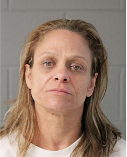 KAREN L LEONE, Cook County, Illinois