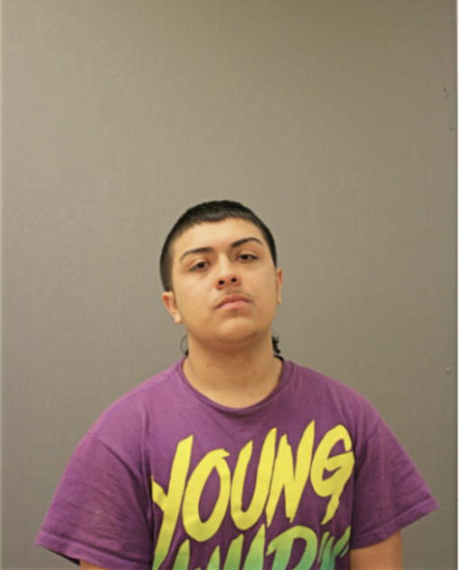 DYLAN S MEJIA, Cook County, Illinois