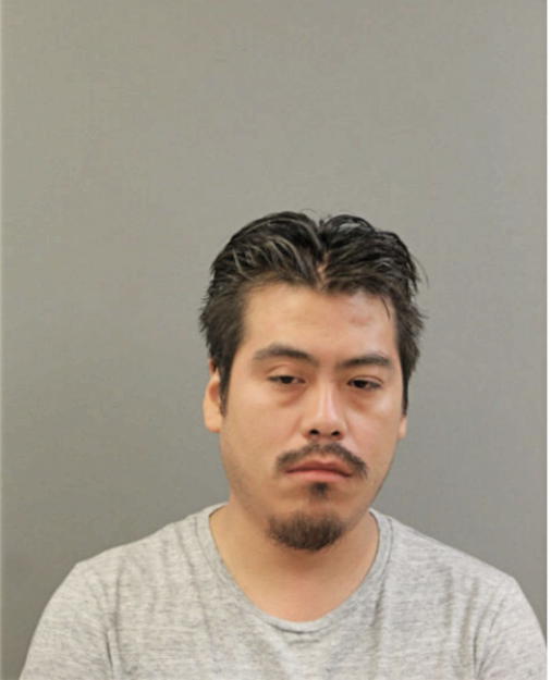 DIONICIO MENDOZA, Cook County, Illinois