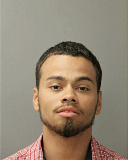 LUIS ANGEL MONTANEZ, Cook County, Illinois