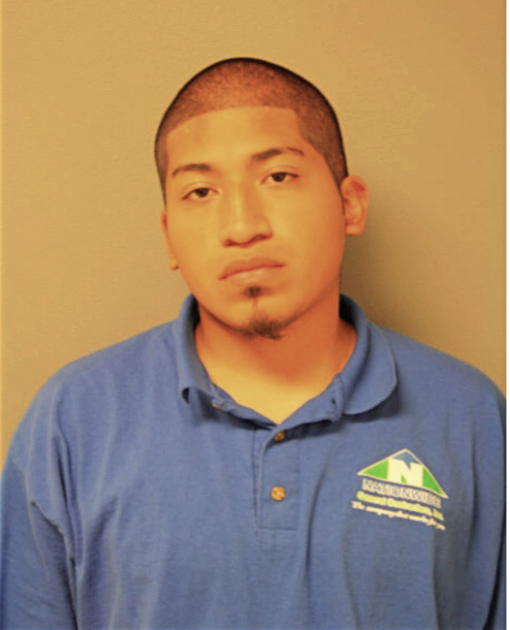 ARMANDO B RAMOS, Cook County, Illinois