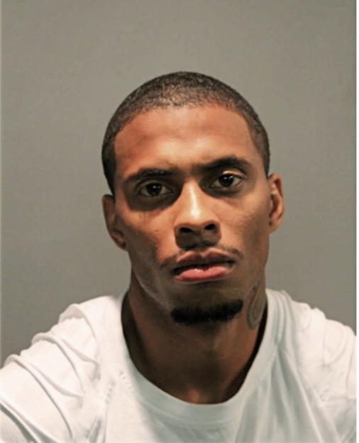 MICHAEL E RODGERS, Cook County, Illinois