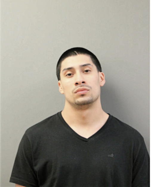 ALDEMAR RODRIGUEZ, Cook County, Illinois
