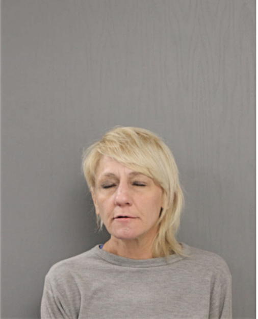 ANDREA R SOLOMON, Cook County, Illinois