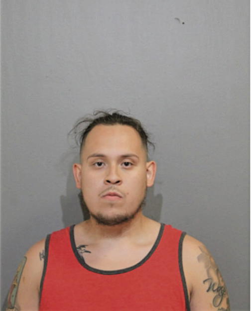 BRANDEN SOSA, Cook County, Illinois