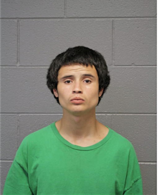 JUAN A VILLAGRANA, Cook County, Illinois