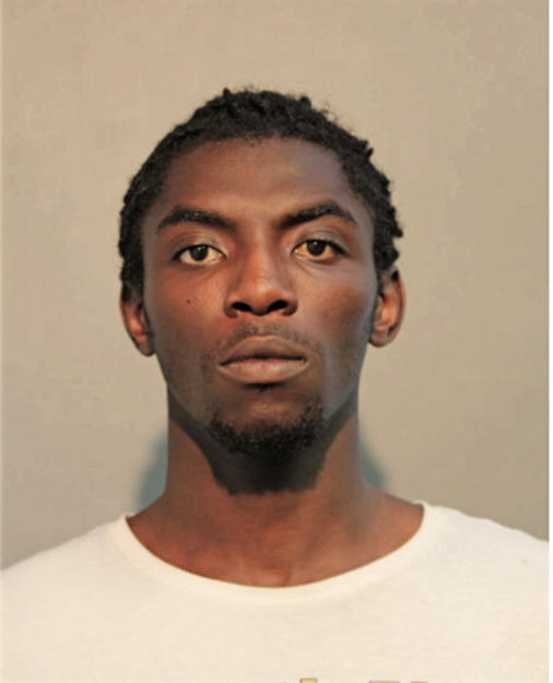 KELVIN B AGYAPONG, Cook County, Illinois