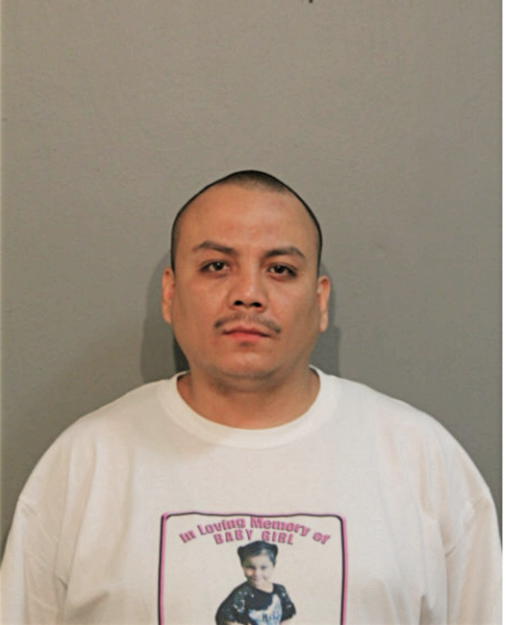 ROBERT M ANAYA, Cook County, Illinois