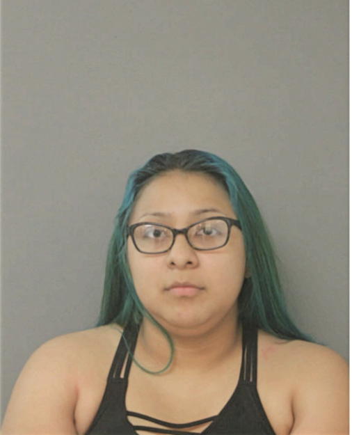 ELIZABETH N ASMAL, Cook County, Illinois