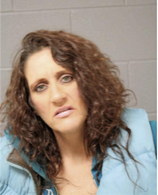 DONNA M BOSI, Cook County, Illinois