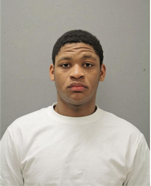 MICHAEL M DAVIS, Cook County, Illinois