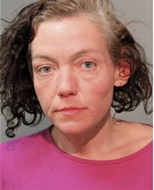 MICHELLE DEE, Cook County, Illinois