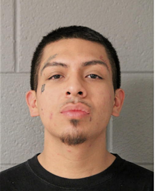 ERWIGN DELGADO, Cook County, Illinois