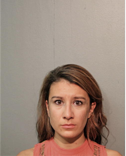CHRISTY C FIGUEROA, Cook County, Illinois