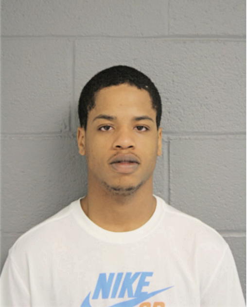 DAVID L FORD, Cook County, Illinois