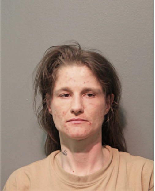 AMANDA C FRENDEN, Cook County, Illinois