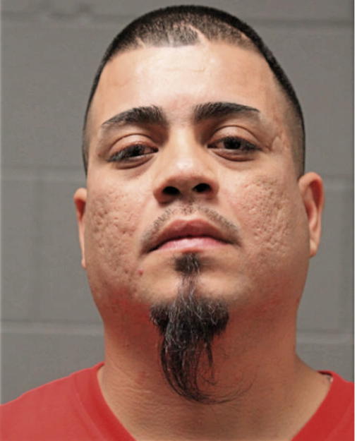 VINCENT HERNANDEZ, Cook County, Illinois