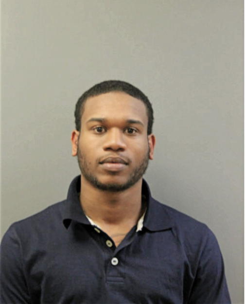 TYLER D HUDSON, Cook County, Illinois