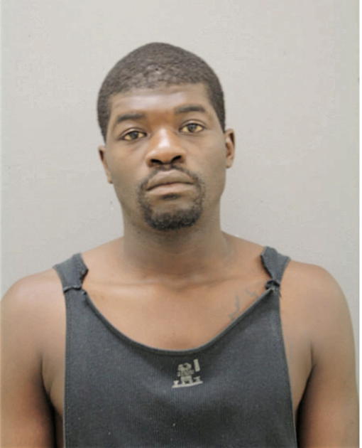 CHRISTOPHER L NORFLEET, Cook County, Illinois