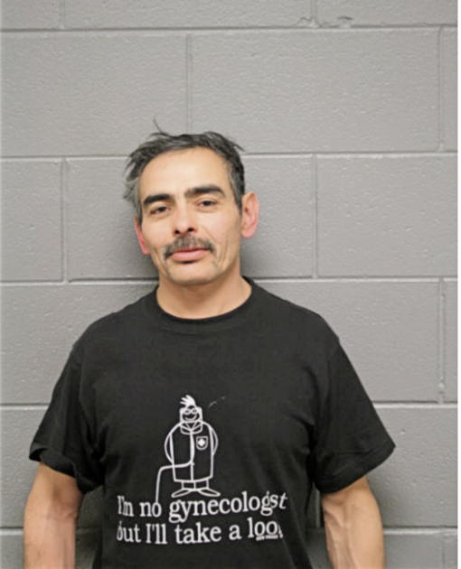 GUSTAVO PINEDA, Cook County, Illinois