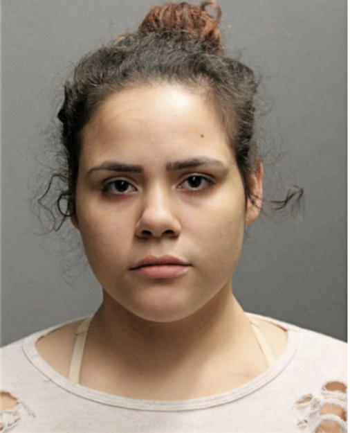YAZMIN M RAMOS, Cook County, Illinois