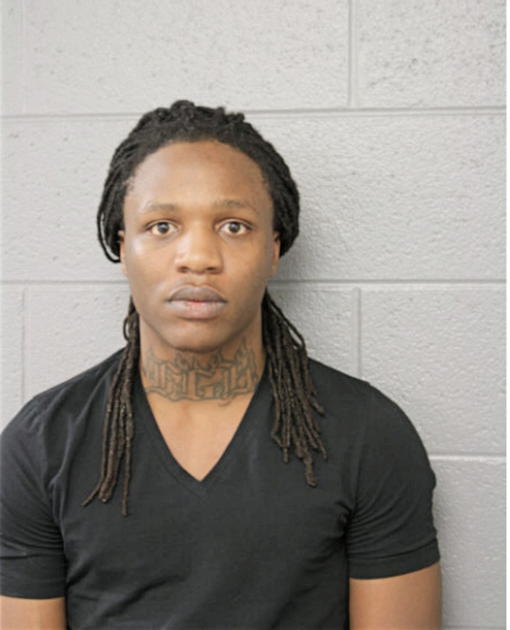 CHARLES E RICE, Cook County, Illinois