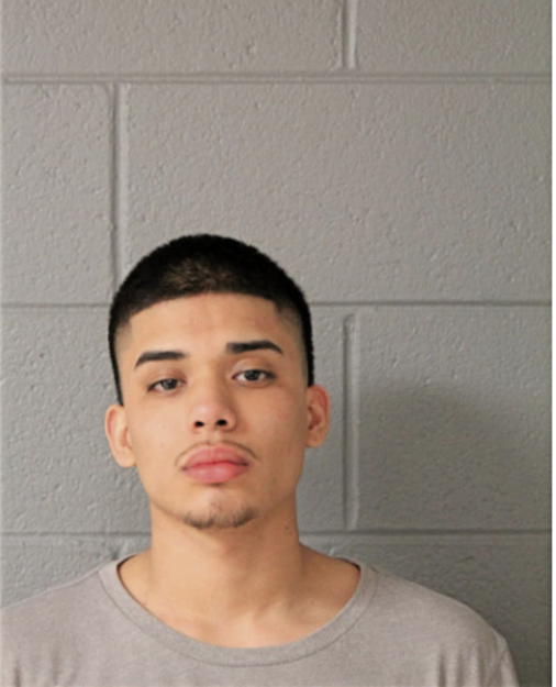 JUAN J VALDES, Cook County, Illinois