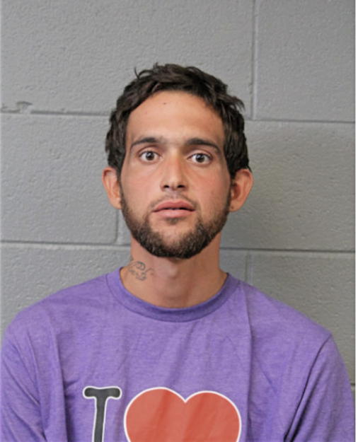 RAUL A VEGA-TORRES, Cook County, Illinois
