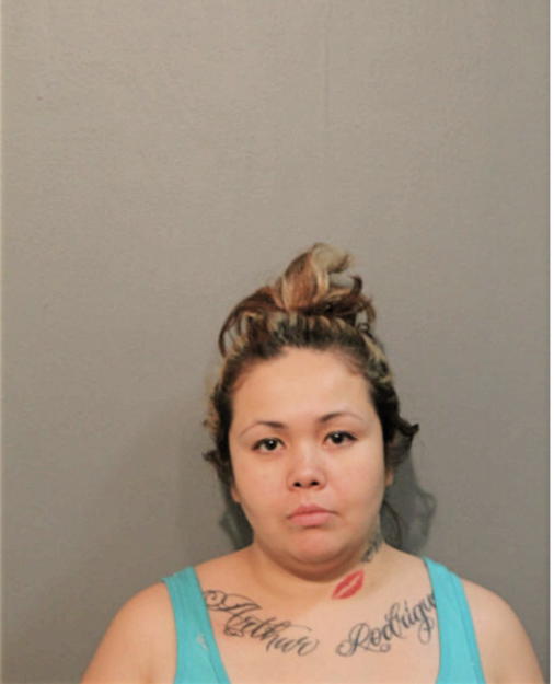MONICA VIRGEN, Cook County, Illinois