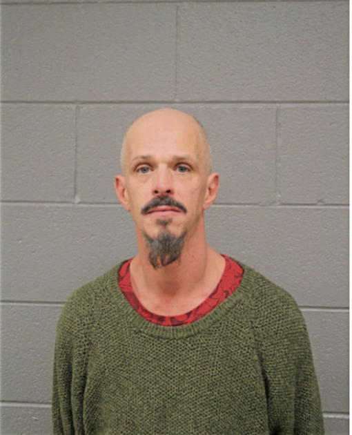 MARK B WATSON, Cook County, Illinois