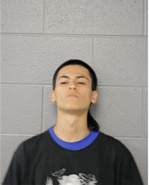 CARLOS E CALIX, Cook County, Illinois