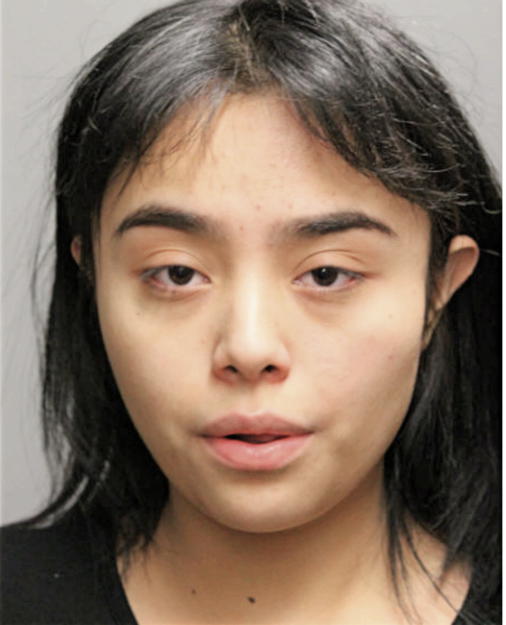 LESLEY DELGADO, Cook County, Illinois
