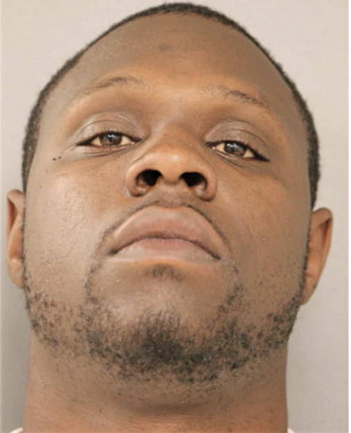 ROBERT N DOTSON, Cook County, Illinois