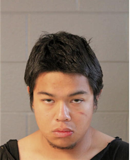 GILLERMO A FLORES, Cook County, Illinois