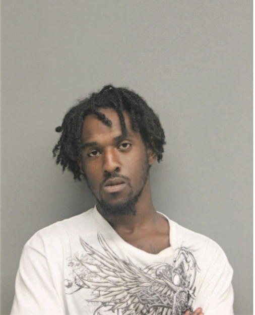 DEANGELO W JOHNSON, Cook County, Illinois