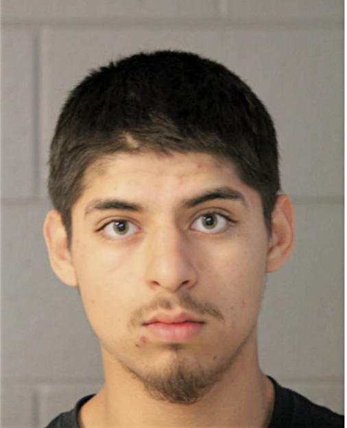GUSTAVO MEJIA JR., Cook County, Illinois