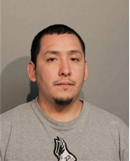 RICARDO MENDOZA, Cook County, Illinois