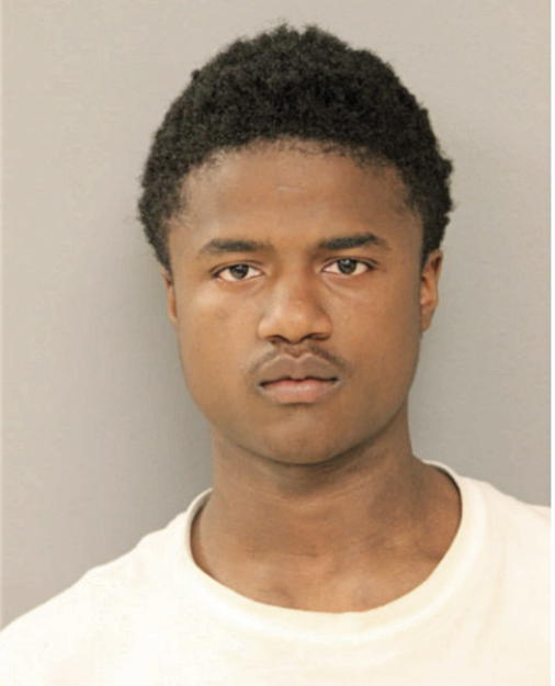 DANIEL L MITCHELL, Cook County, Illinois