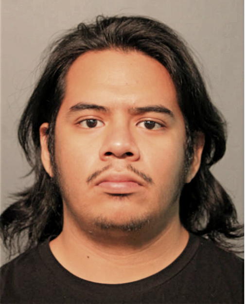 ROQUE F PINEDA, Cook County, Illinois