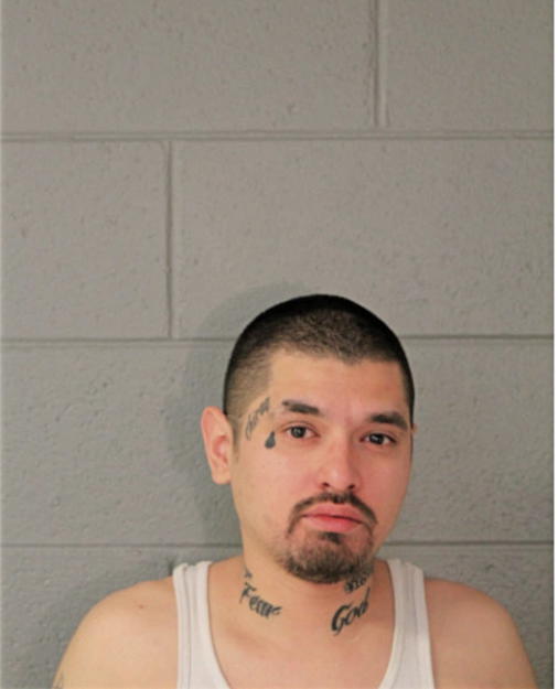 GEORGE I RAMOS, Cook County, Illinois