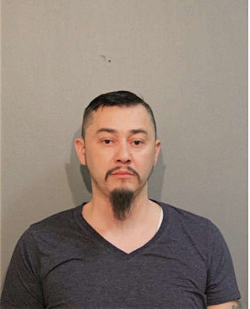 ENRIQUE REYES, Cook County, Illinois