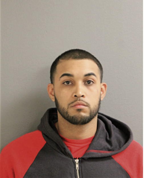 MODESTO J REYES, Cook County, Illinois