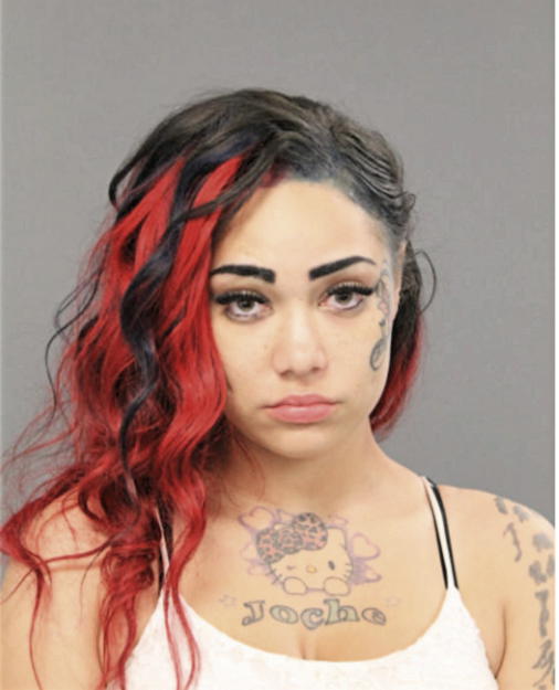 SIENNA S RICCHIO, Cook County, Illinois