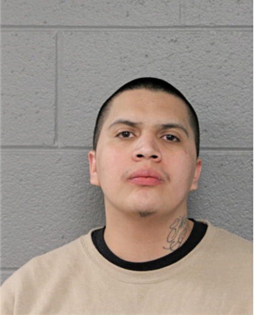LUIS E RODRIGUEZ, Cook County, Illinois