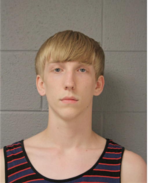 RONALD J RUTZEN, Cook County, Illinois