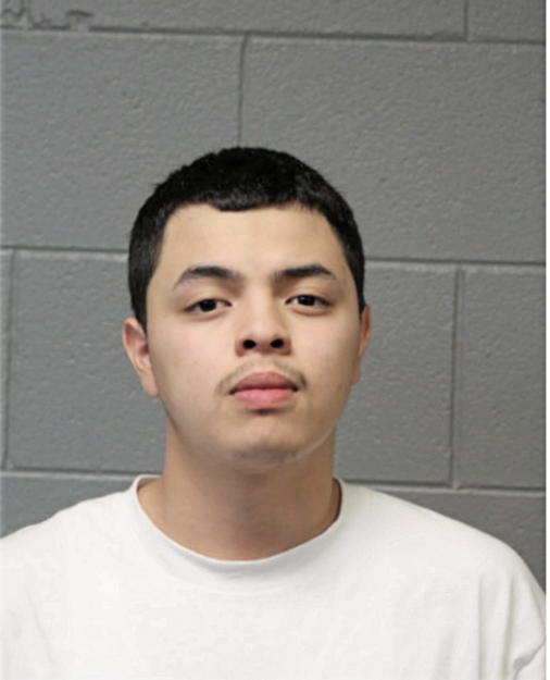 JULIAN TRISTAN, Cook County, Illinois