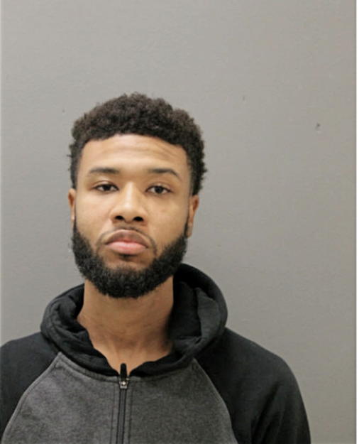 DANIEL J WILSON, Cook County, Illinois